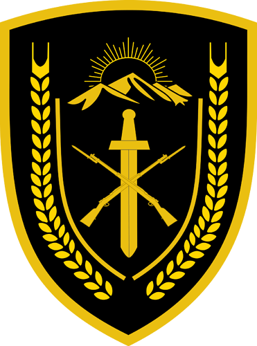 ANA_207_Corps_SSI.svg