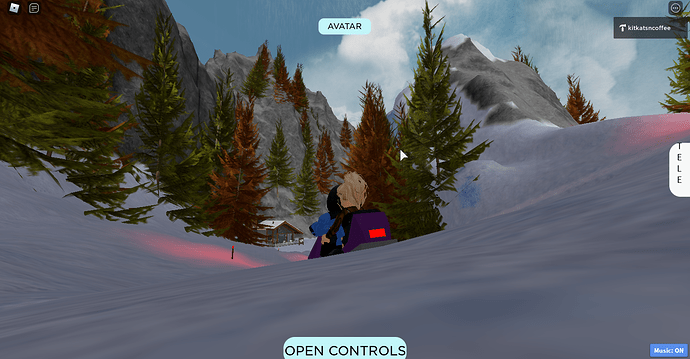 RobloxScreenShot20210512_221538969