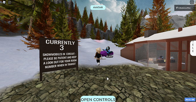 RobloxScreenShot20210512_221511405