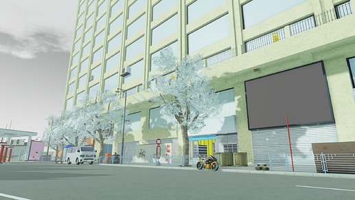 snowborview
