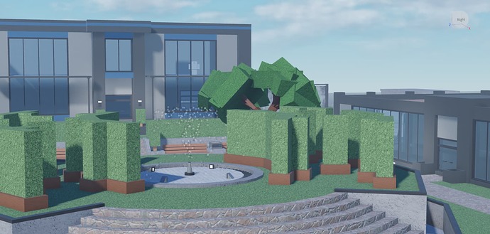 First View