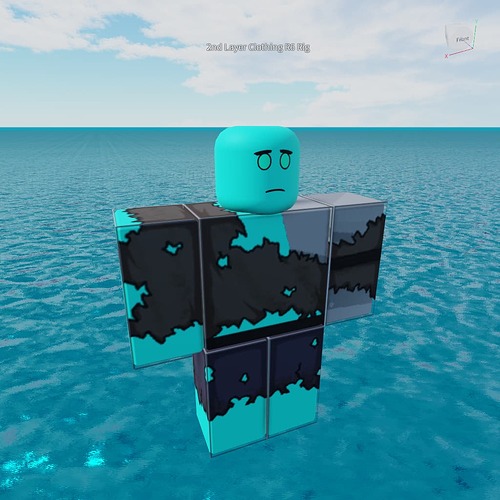 2 layer clothing