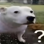 confused