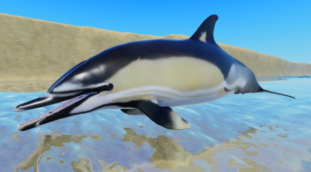 3D Dolphin models - Creations Feedback - Developer Forum | Roblox