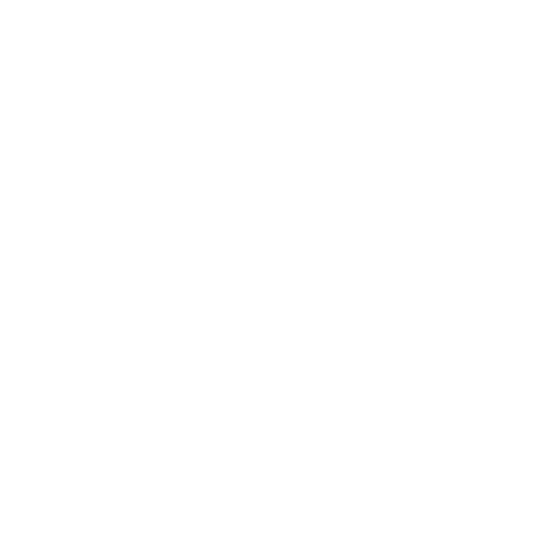 PxmzLogoIcon