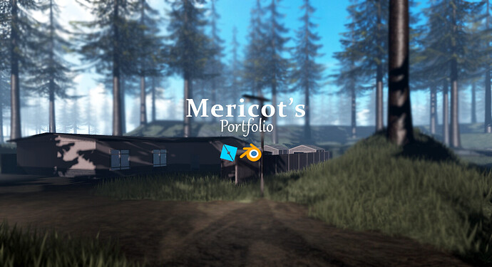 Mericots Portfolio