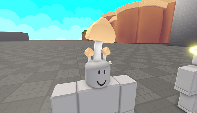 RobloxScreenShot20210604_022936760