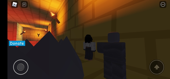 Screenshot_20211103_045645_com.roblox.client