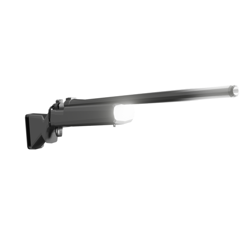 Bolt Action Rifle