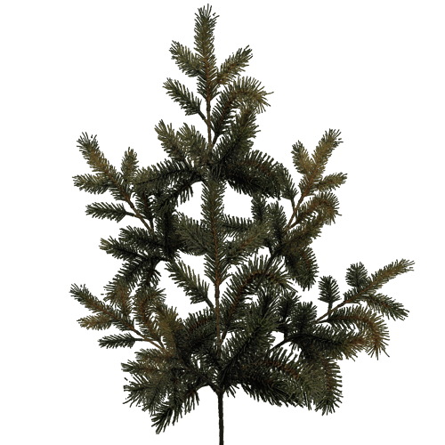 pine-leaf