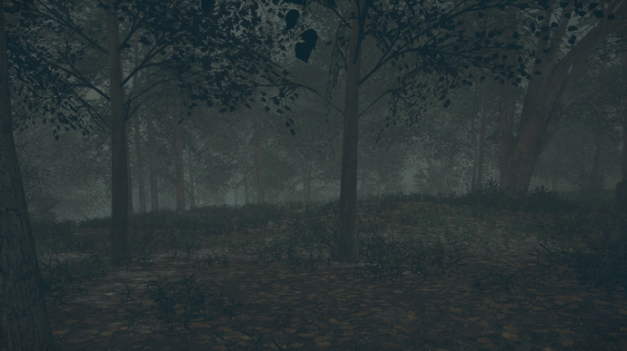 terrain4