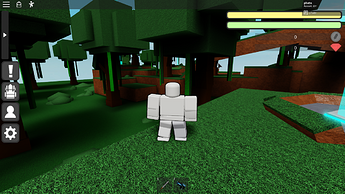 RobloxScreenShot20200118_114248826