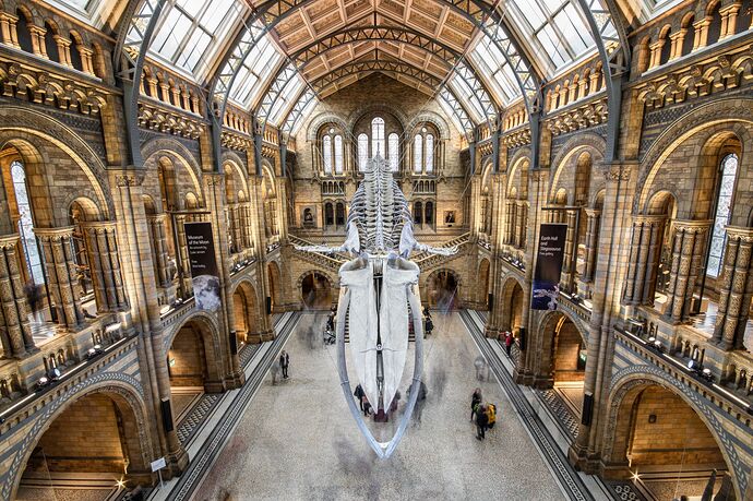 The Natural History Museum Lobby, United Kingdom