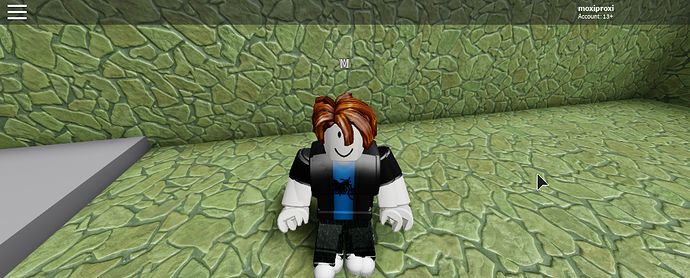 RobloxScreenShot20190823_225500334