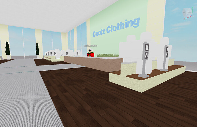 RobloxScreenShot20210119_121935157