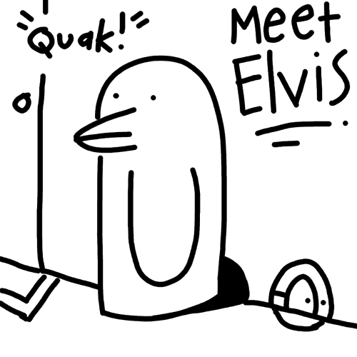 Meet Elvis!