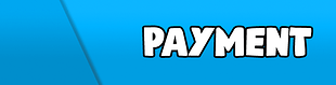 Portfolio Payment