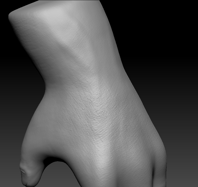 Realistic roblox hand - Creations Feedback - Developer Forum | Roblox