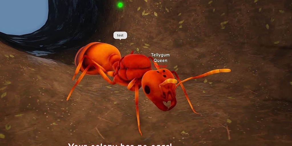 Chat Settings Not Working - Studio Bugs - Developer Forum | Roblox