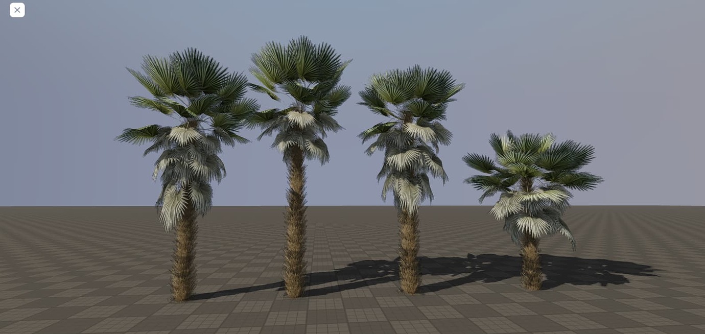 Fan palm trees [free vegetation pack] Community Resources Developer