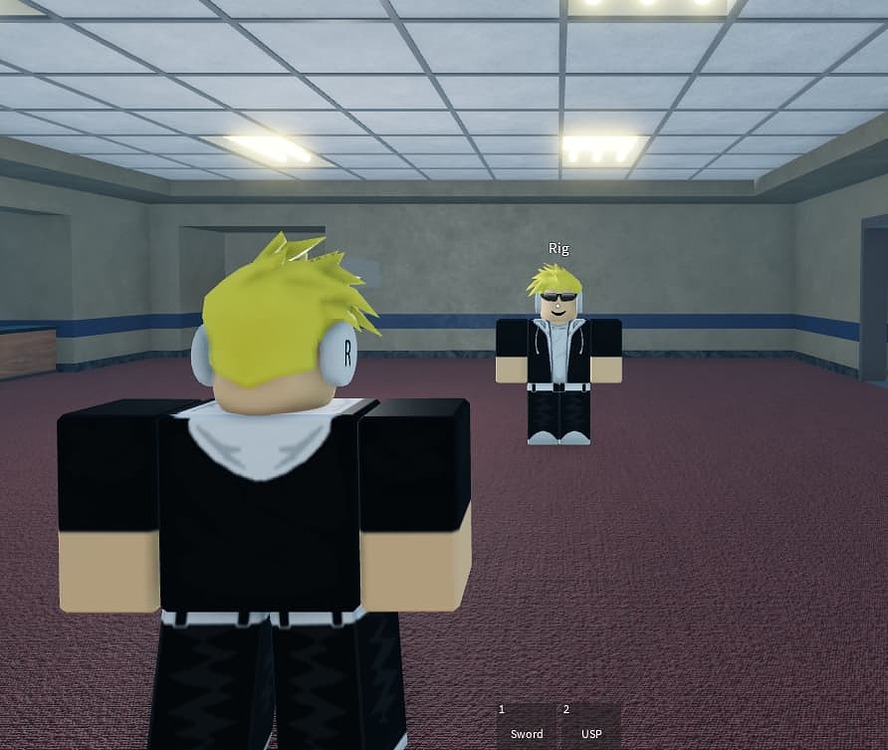 Third Person Camera Clipping Issue - Scripting Support - Developer ...