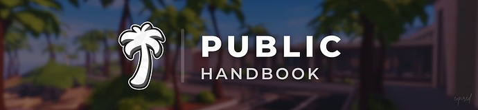 Public Handbook Banner Healthyn