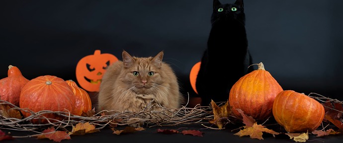 wallhaven-3ql916_3440x1440