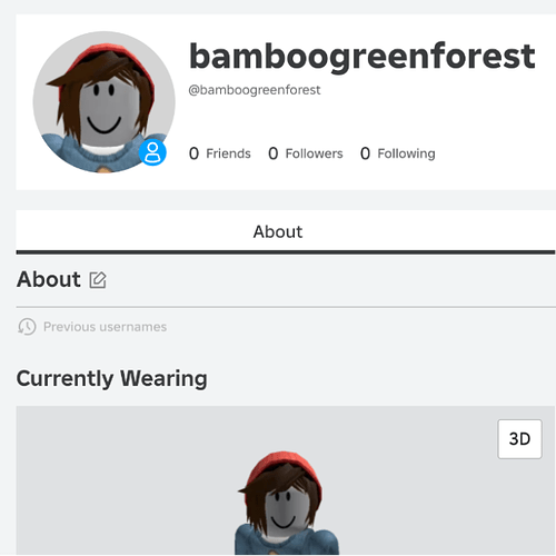 Previous Usernames No Longer Show On Profiles - Roblox Application and