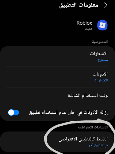 Screenshot_٢٠٢٥١٠٠٧_٢١٠٢١١_Settings