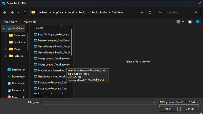 RobloxStudioBeta_5kBYfrzWir