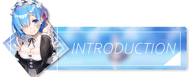 Introduction