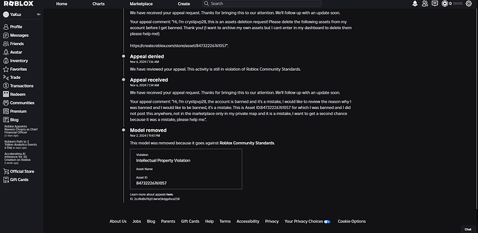 Screenshot 2025-06-11 204928