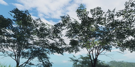 isle_trees