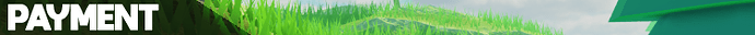 Test for devforum (2)