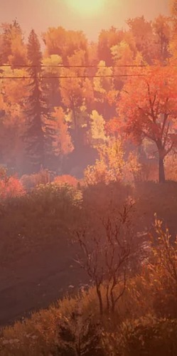 snowrunnervegetation