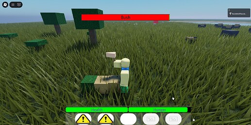 SurvivalGameThing
