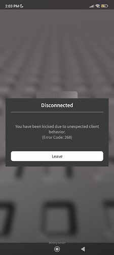 Screenshot_2024-06-16-14-03-12-276_com.roblox.client