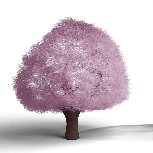 Cherry Tree 2nd Render