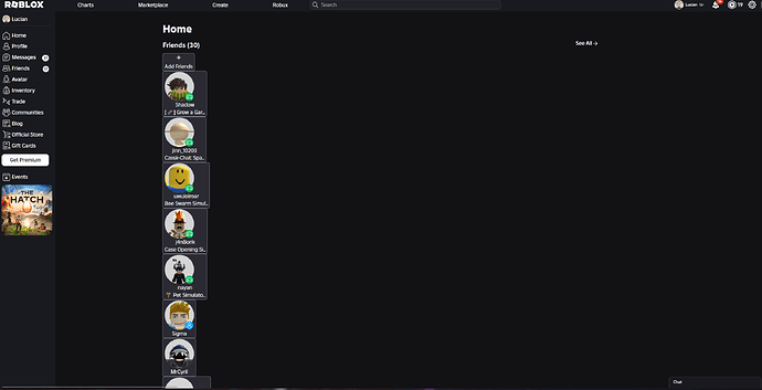 Snímek obrazovky 2025-07-12 205420