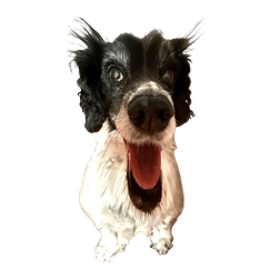 ruby funny edit choso