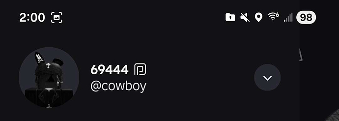 Screenshot_20251119_140003_Roblox