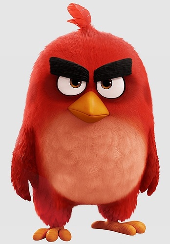 Bird