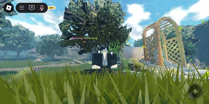 Screenshot_20250729-021122