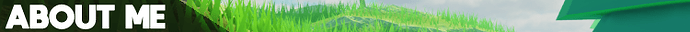 Test for devforum (4)