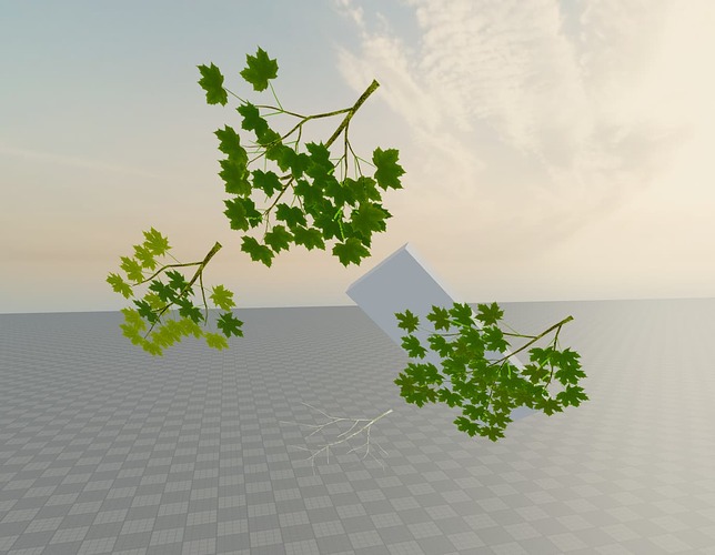 a leaf