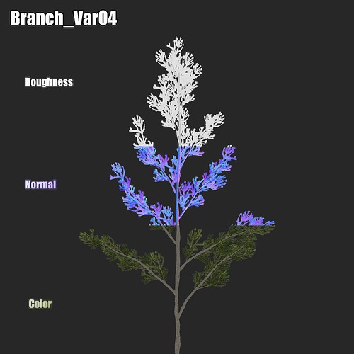 Branch_04_Showcase
