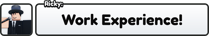 workexperience
