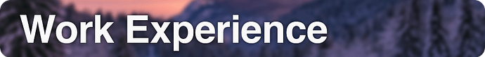 workexperience