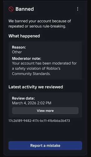 Why Roblox Should Reverse Recent Bans And Improve AI Moderation 2 292x500 