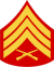 sgt